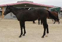 ���� (MU GANG) ����