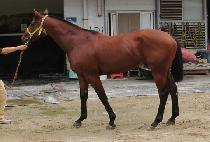 ��������Ʈ (A TO Z) ����