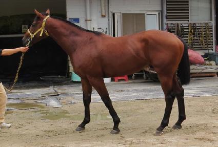 ��������Ʈ ����