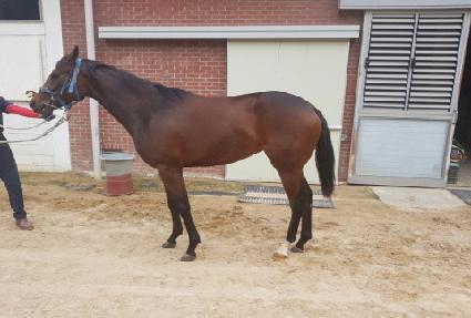 ��Ƽ�� ����