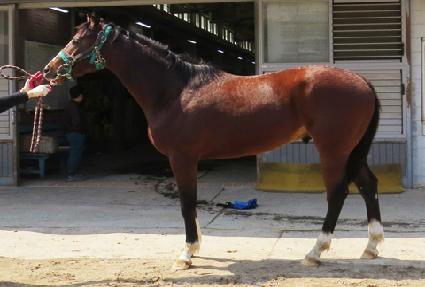 ���� ����