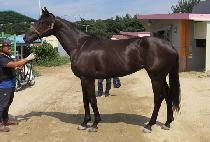 ����Ǯ�۸��� (WONDERFUL GLITTER) ����