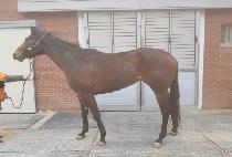 WONDERFUL KEY picture