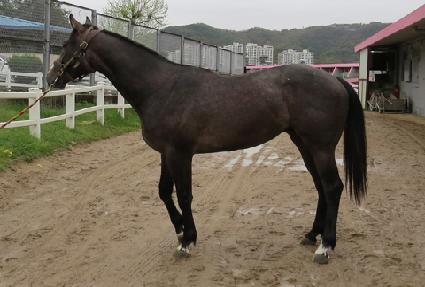 �ٺ� ����