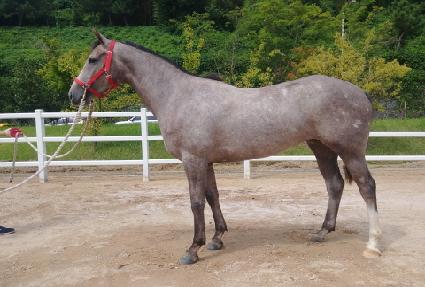 �۷ι��� ����