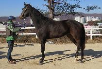 MORNING DONGJA picture