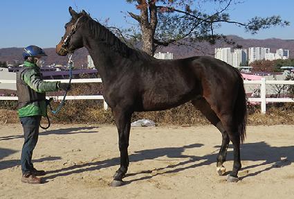 ��׵��� ����