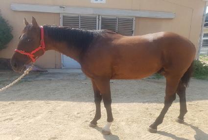 �۽�Ʈ�ο� ����