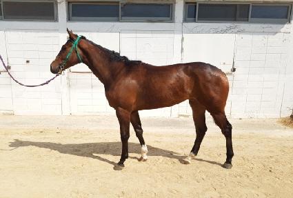 �̳��� ����