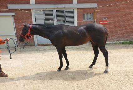 �۽�Ʈ����� ����