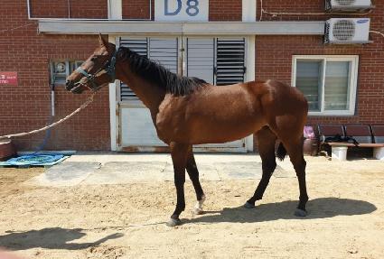 �̽�Ʈ�� ����