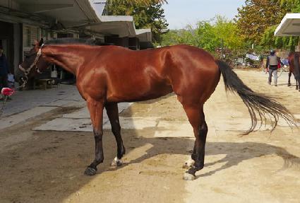 �Ŀ����� ����