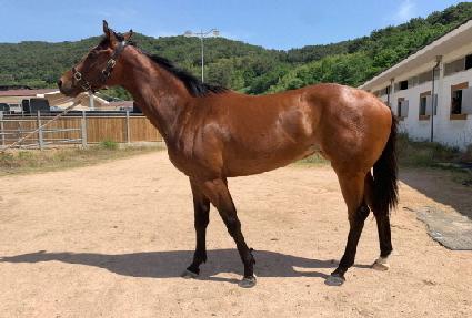 �齺�� ����