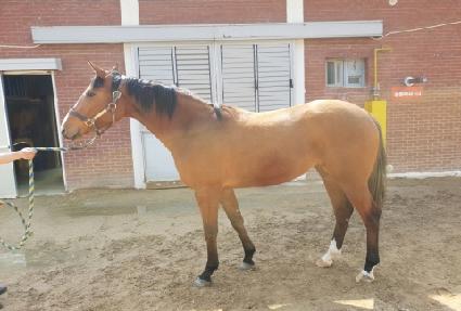 ������Ÿ�� ����