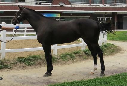 �۷ι��� ����