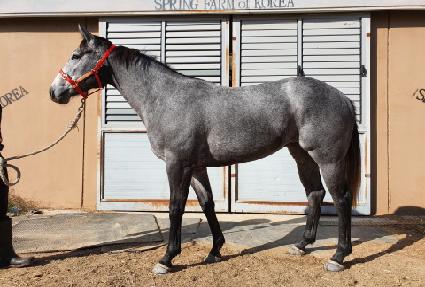 ��ŷ���Ѹ� ����