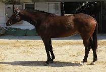 �׸�����Ʈ (GREEN SUMMIT) ����