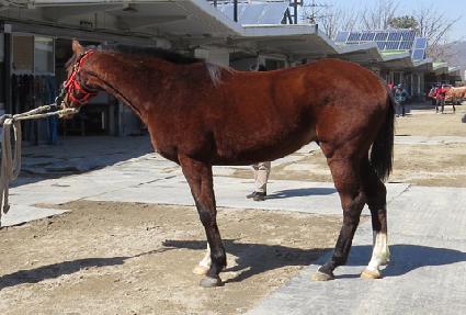 ���ǹ��� ����