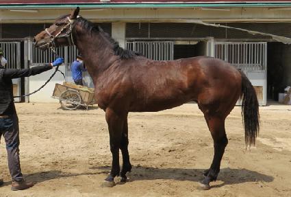 �ŷ� ����