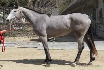 ���¯ ����