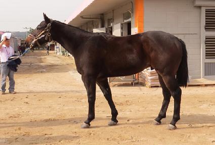 �Ҹ��̽� ����