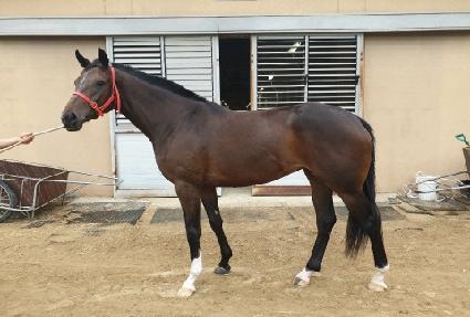 ��ƼǮ���� ����