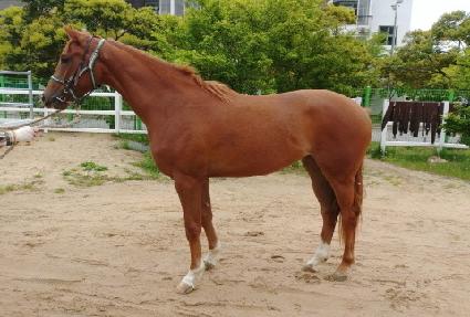 ŷ������ ����