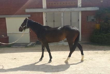 õ���Ǳ� ����