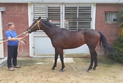 �Ҹ��Ǳ� ����