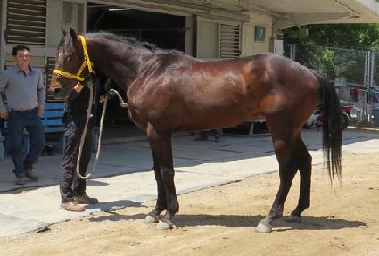 �����彺�� ����