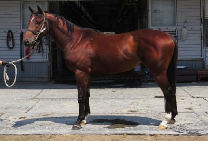 �������� ����