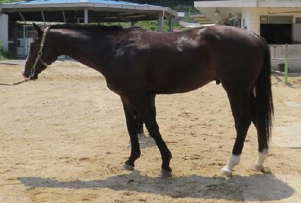 Ŭ�������� ����