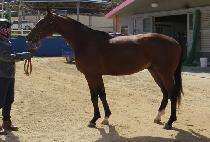 õ���︲ (CHEONJI ULLIM) ����