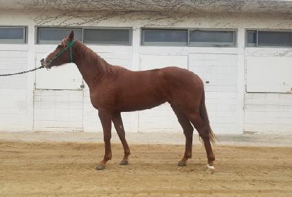 ���翥�� ����