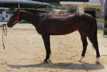 ��Ű��ȣ ����