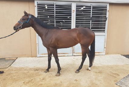 �̳�� ����