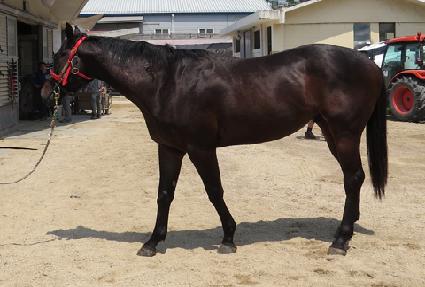 õ��ȭ�� ����