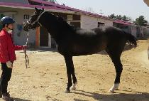 ���� (BAEK HAK) ����