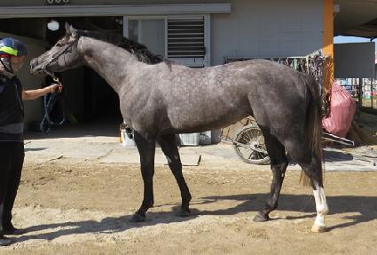 �õ�����̵� ����