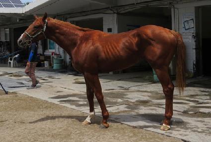 �̶�Ŭ��õ ����