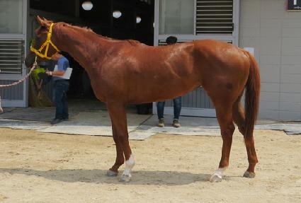 ����õ�� ����