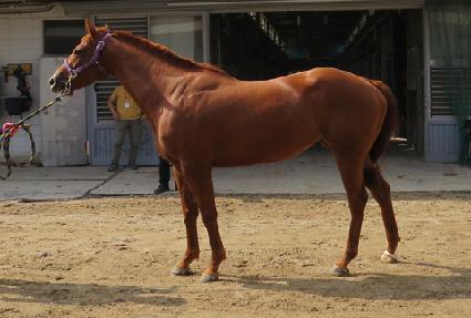 �»�Ư�� ����