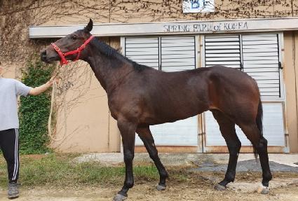 ����ñ׳� ����