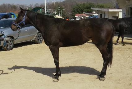 �������� ����