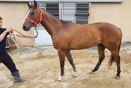 ����Ʈ���� ����