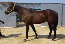 ���̿����Ŀ� (J.S. POWER) ����