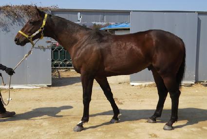 ���̿����Ŀ� ����