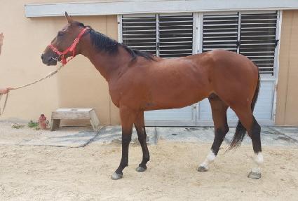 �����̽��Ŀ� ����