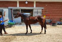 JEONSEOLUICHAMPION picture