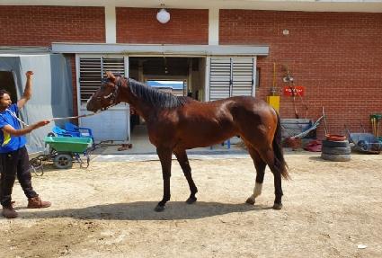 ������è�Ǿ� ����